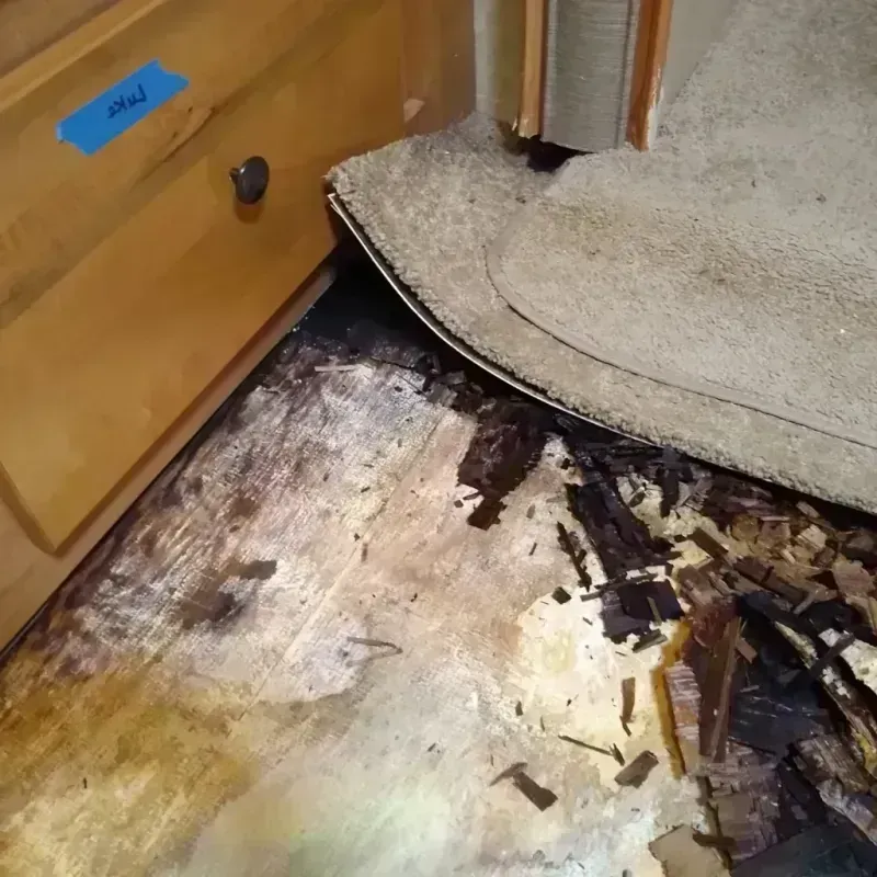 Wood Floor Water Damage in Arcadia, IN